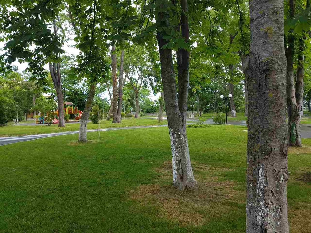 Villa Salena Primorsko Eksteriør billede